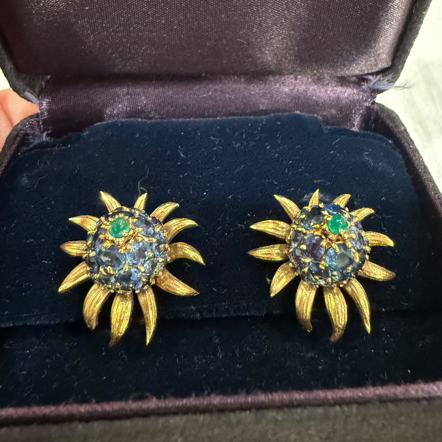 Tiffany & Co. Schlumberger Earrings