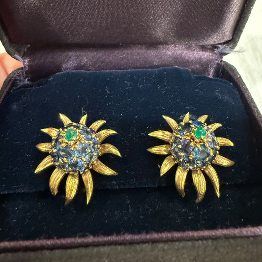 Tiffany & Co. Schlumberger Earrings
